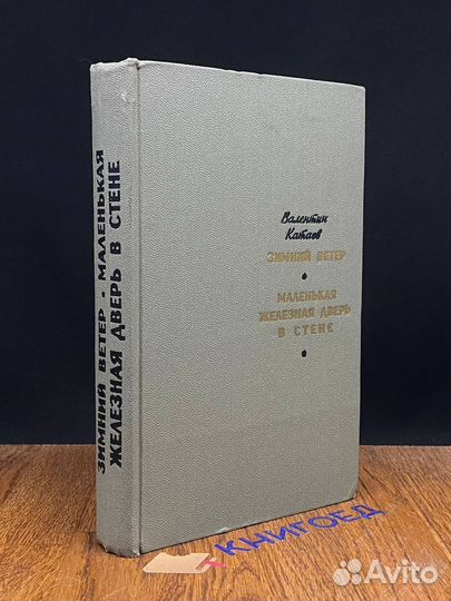 Зимний ветер. Маленькая железная дверь в стене