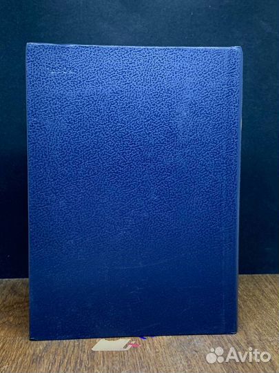 Доминико Трезини