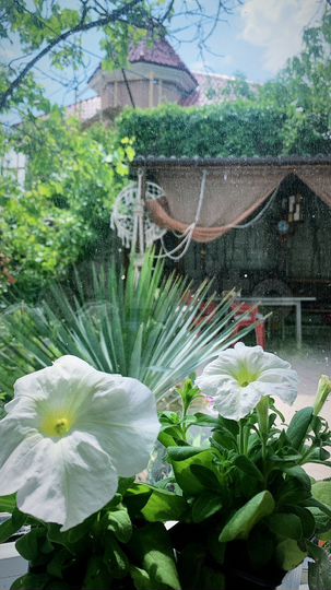 Дом 85 м² на участке 3 сот.