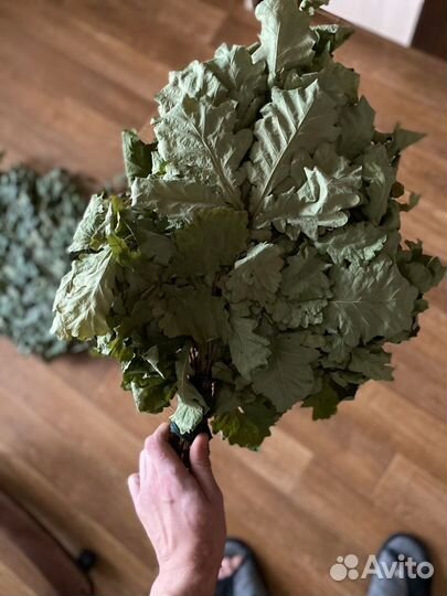 Продам банные веники