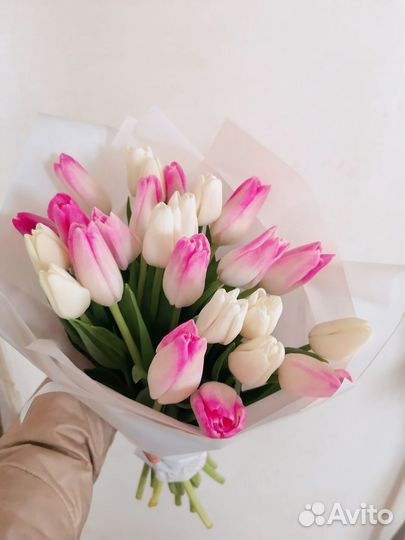 Тюльпаны, нежный букет 25шт