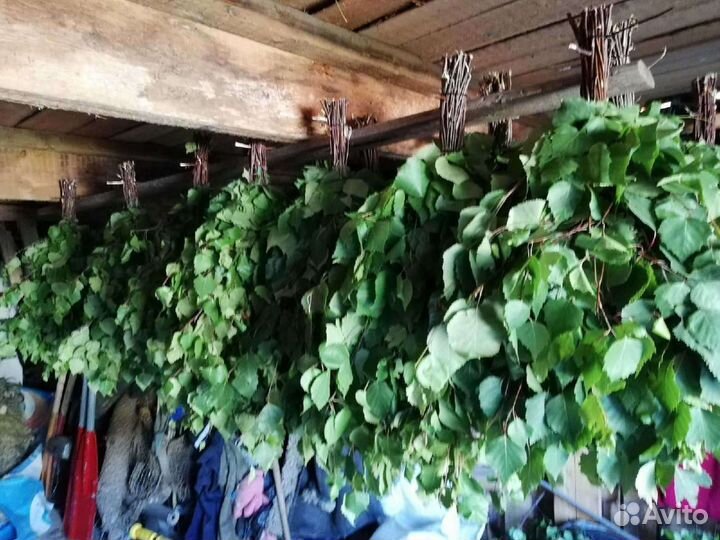 Веники для бани