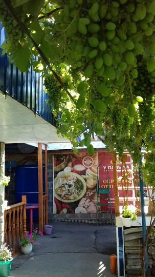 Комната 12 м² в 6-к., 1/1 эт.