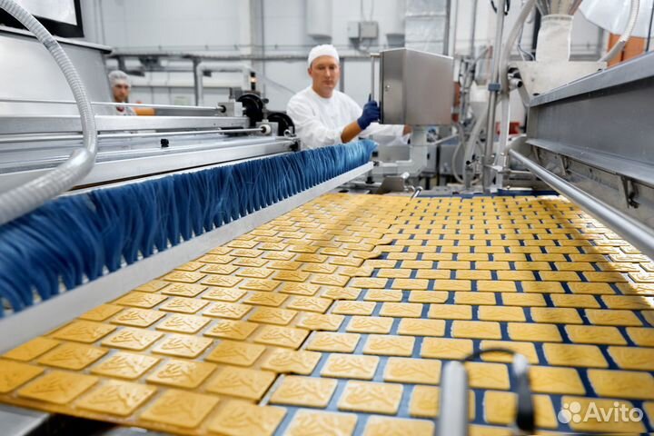 Грузчик с ежедневной оплатой на производство