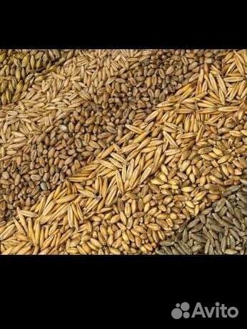 Корма для животных