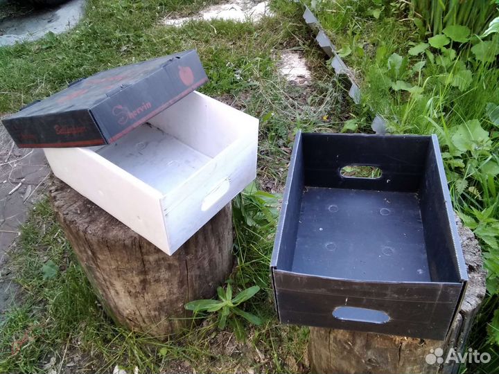 Ящики мини грядки
