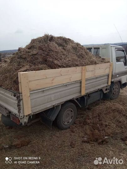 Навоз коровий