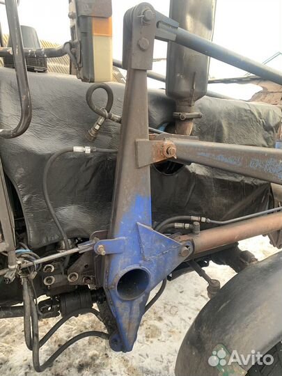 Кун на Беларус