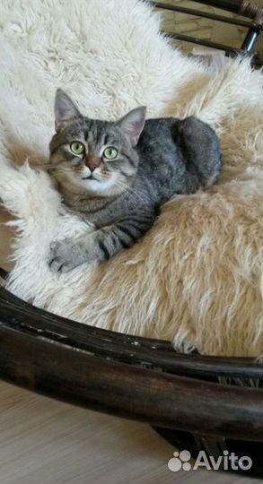 Еська ищет ответственную семью