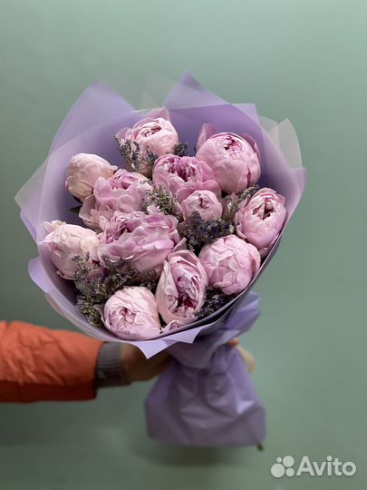 Пионы оптом