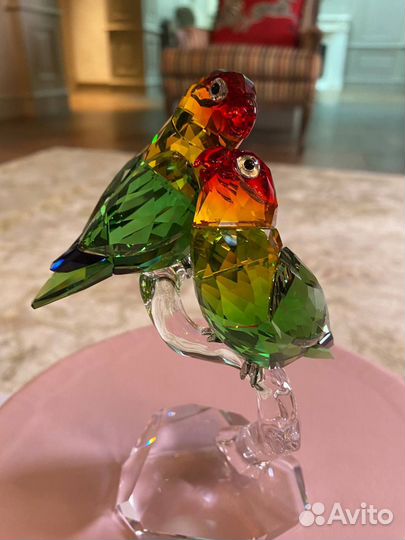 Попугаи swarovski