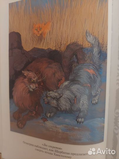 Книга коты воители лес секретов & бушующая стихия