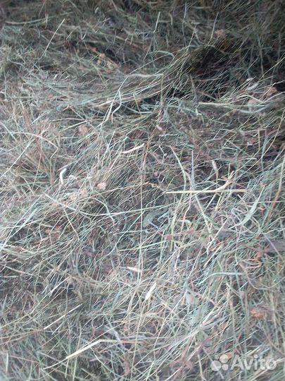 Сено в мешках есть доставка звоните