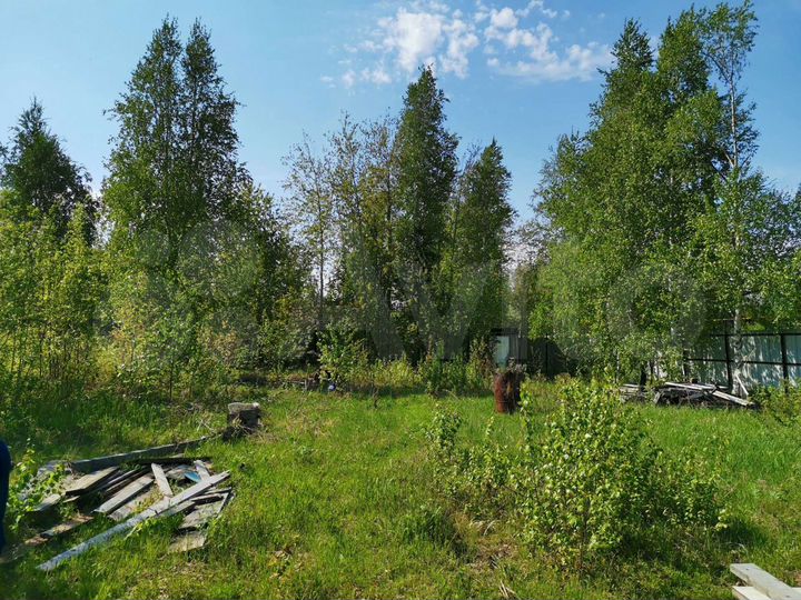 Участок 22 сот. (СНТ, ДНП)