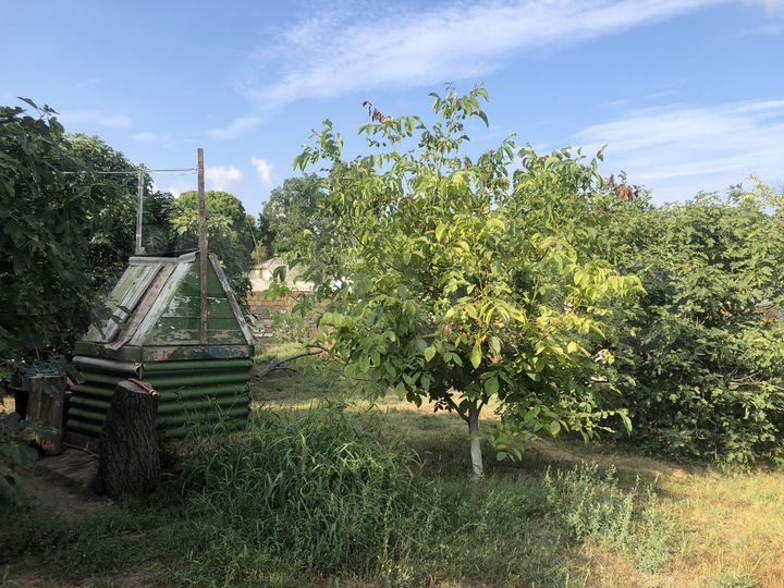 Дом 50 м² на участке 15 сот.