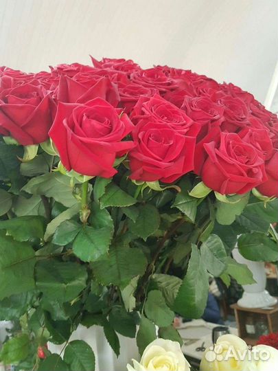 Цветы розы букет