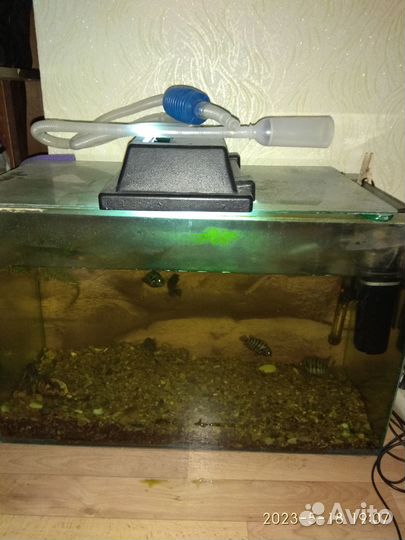 Аквариум