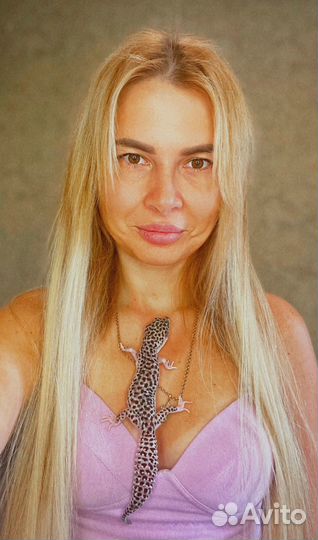 Ящерица эублефар