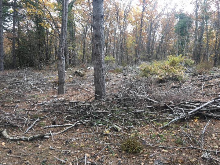 Участок 7 сот. (ИЖС)