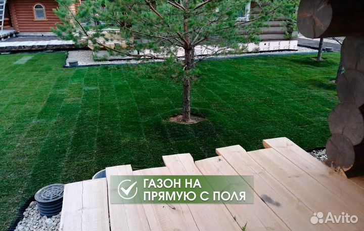 Рулонный газон с доставкой
