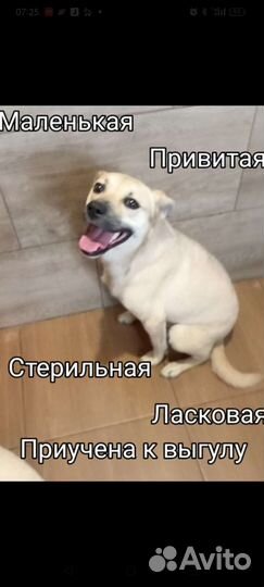 Малышка Бонечка