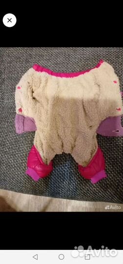 Одежда для маленьких пород собак