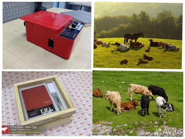 Электропастух