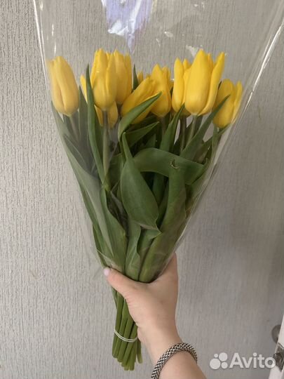 Тюльпаны розница