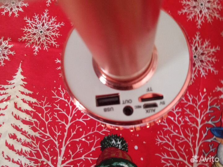 Колонка с микрофоном