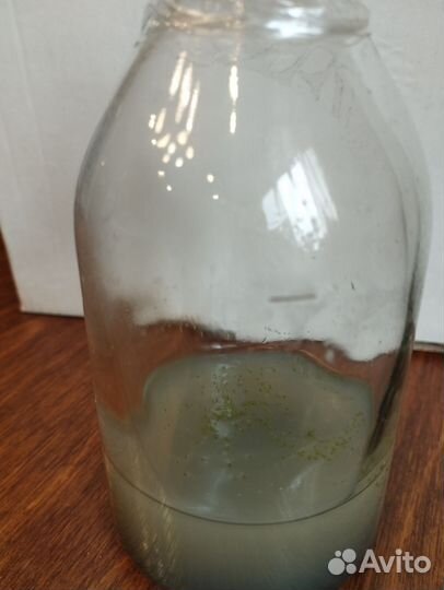 Фласка орхидеи