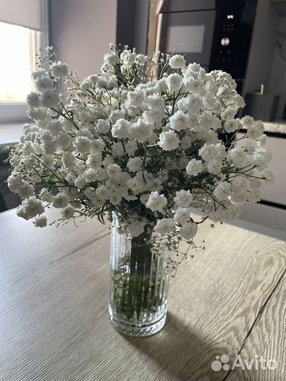 Букет гипсофил