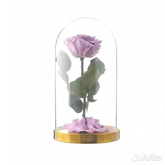 Неувядающая роза в колбе