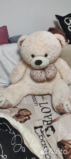 Плюшевый медведь