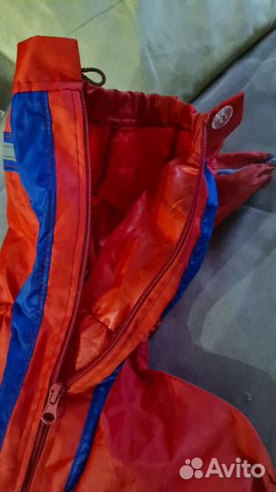 Одежда для английского бульдога