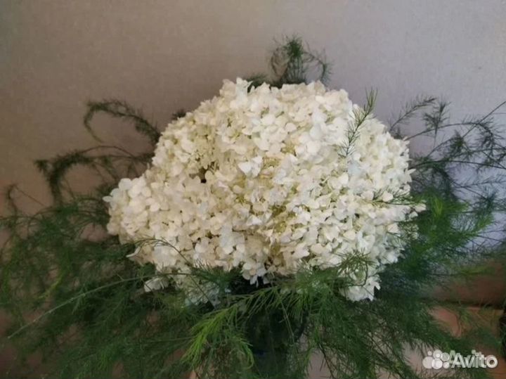 Гортензия. Букет под заказ