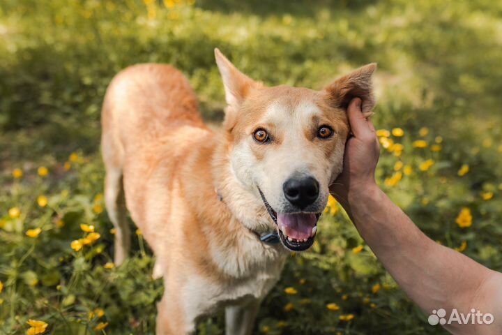 Лэнвилл в ожидании своей семьи