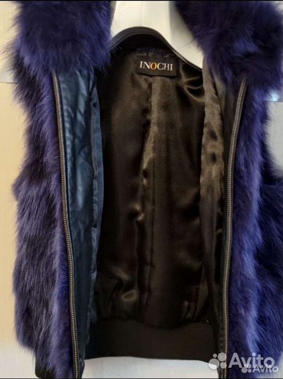 Синий жилет, песец