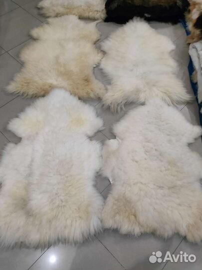 Овечья шкура