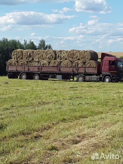 Сено,салома