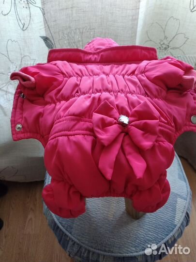 Комбинезон для собаки (девочка)