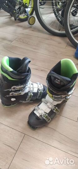 Горнолыжные ботинки dalbello