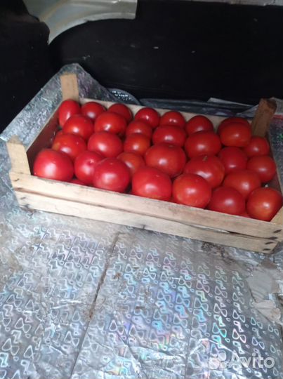 Домашние помидоры