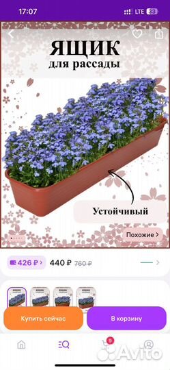 Ящики для цветов