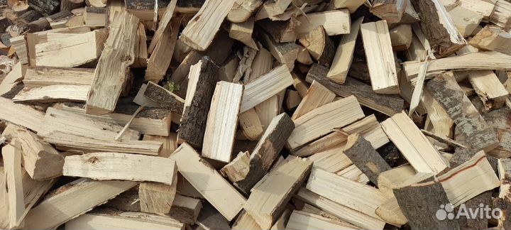 Дрова береза