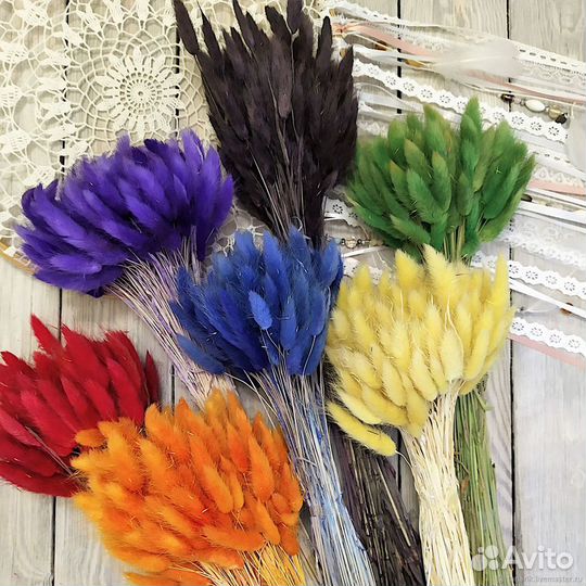 Лагурус (зайцехвост)