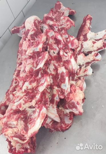 Корма для животных