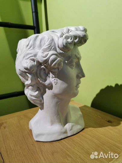 Бюст голова Давида. Гипс. Скульптура