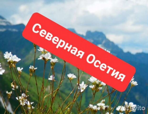 Туры в осетию 2025