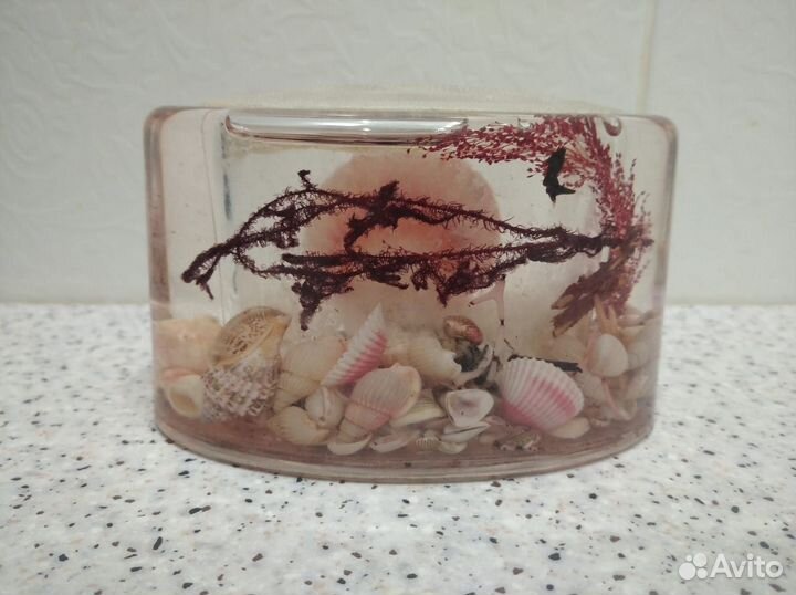 Подставка для Зубных Щёток 