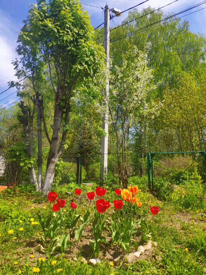 Дом 74 м² на участке 11,3 сот.